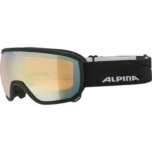 Alpina Sports SCARABEO HM Lyžiarske okuliare, čierna, veľkosť OS