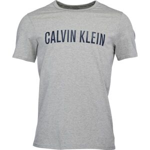 Calvin Klein S/S CREW NECK GRY Pánske tričko, čierna, veľkosť S