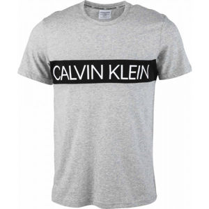 Calvin Klein S/S CREW NECK Dámske tričko, sivá, veľkosť S