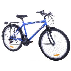 Freeroad PARK-L LABE 24 MTB modrá NS - Chlapčenský bicykel