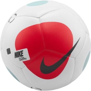 Nike FUTSAL MAESTRO Futbalová lopta, biela, veľkosť 4