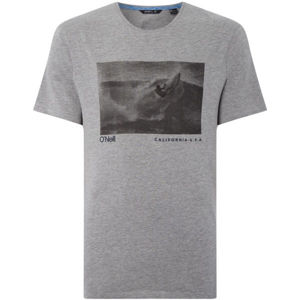 O'Neill LM PHOTOPRINT T-SHIRT tmavo šedá XL - Pánske tričko