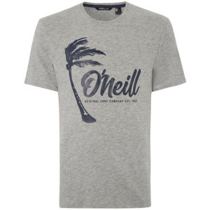 O'Neill LM PALM GRAPHIC T-SHIRT šedá XL - Pánske tričko