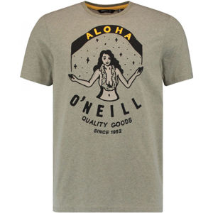 O'Neill LM WAIMEA T-SHIRT tmavo zelená XL - Pánske tričko