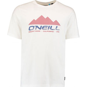 O'Neill LM DAN T-SHIRT  L - Pánske tričko