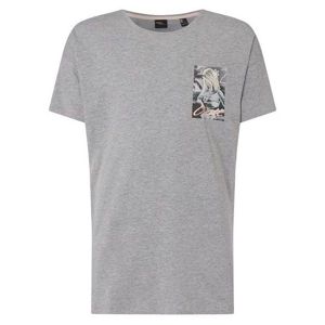 O'Neill LM FLOWER T-SHIRT Pánske tričko, sivá, veľkosť M