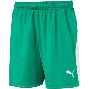 Puma LIGA SHORTS JR zelená 152 - Chlapčenské športové šortky
