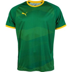 Puma KC LIGA JERSEY GRAPHIC zelená XL - Pánsky futbalový dres
