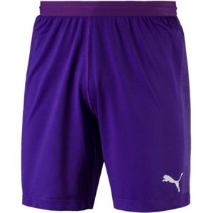 Puma FINAL evoKNIT GK Shorts Pánske brankárske trenky, fialová, veľkosť L