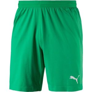 Puma FINAL evoKNIT GK Shorts Pánske brankárske trenky, zelená, veľkosť M