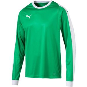 Puma LIGA GK JERSEY JR zelená 164 - Chlapčenské tričko