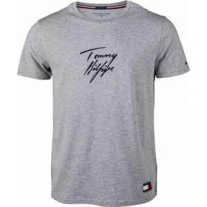 Tommy Hilfiger CN SS TEE LOGO tmavo modrá XL - Pánske tričko