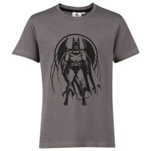 Warner Bros DAK Chlapčenské tričko, sivá, veľkosť 164-170